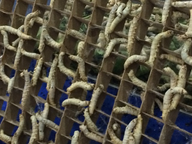 20151010_061330196_iOS